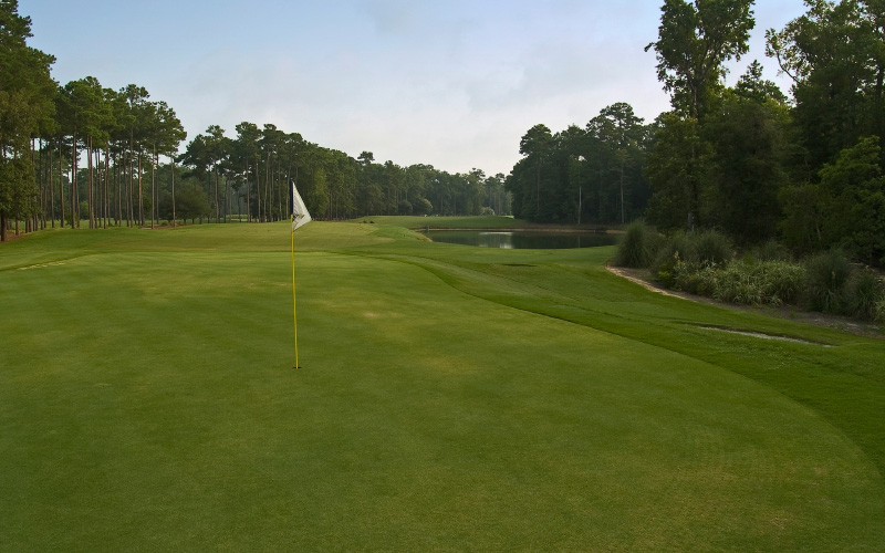 view of the green with fairway and trees in the background