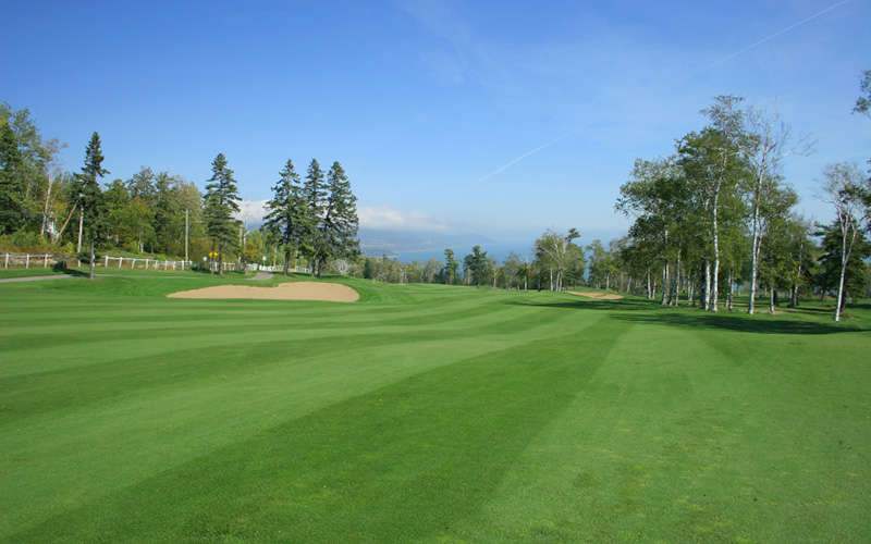 view of the fairway with trees and a bunker